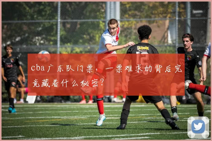 cba广东队门票，一票难求的背后究竟藏着什么秘密？