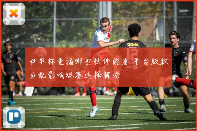 世界杯重播哪些软件能看 平台版权分配影响观赛选择解读