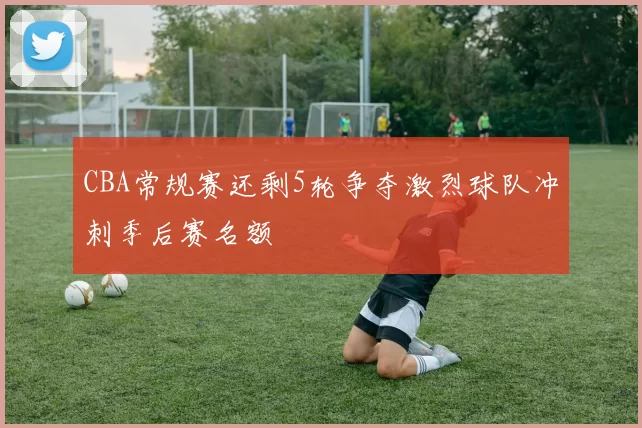 CBA常规赛还剩5轮争夺激烈球队冲刺季后赛名额