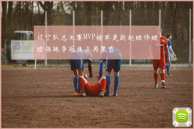 辽宁队总决赛MVP榜单更新赵继伟继续领跑争冠焦点再聚首