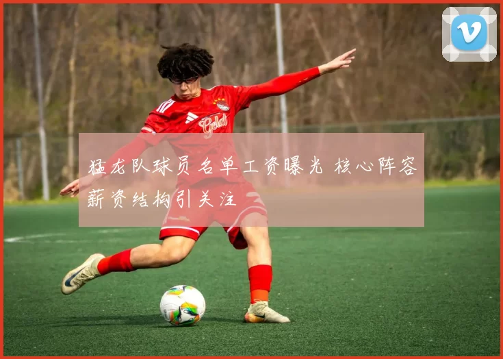 猛龙队球员名单工资曝光 核心阵容薪资结构引关注